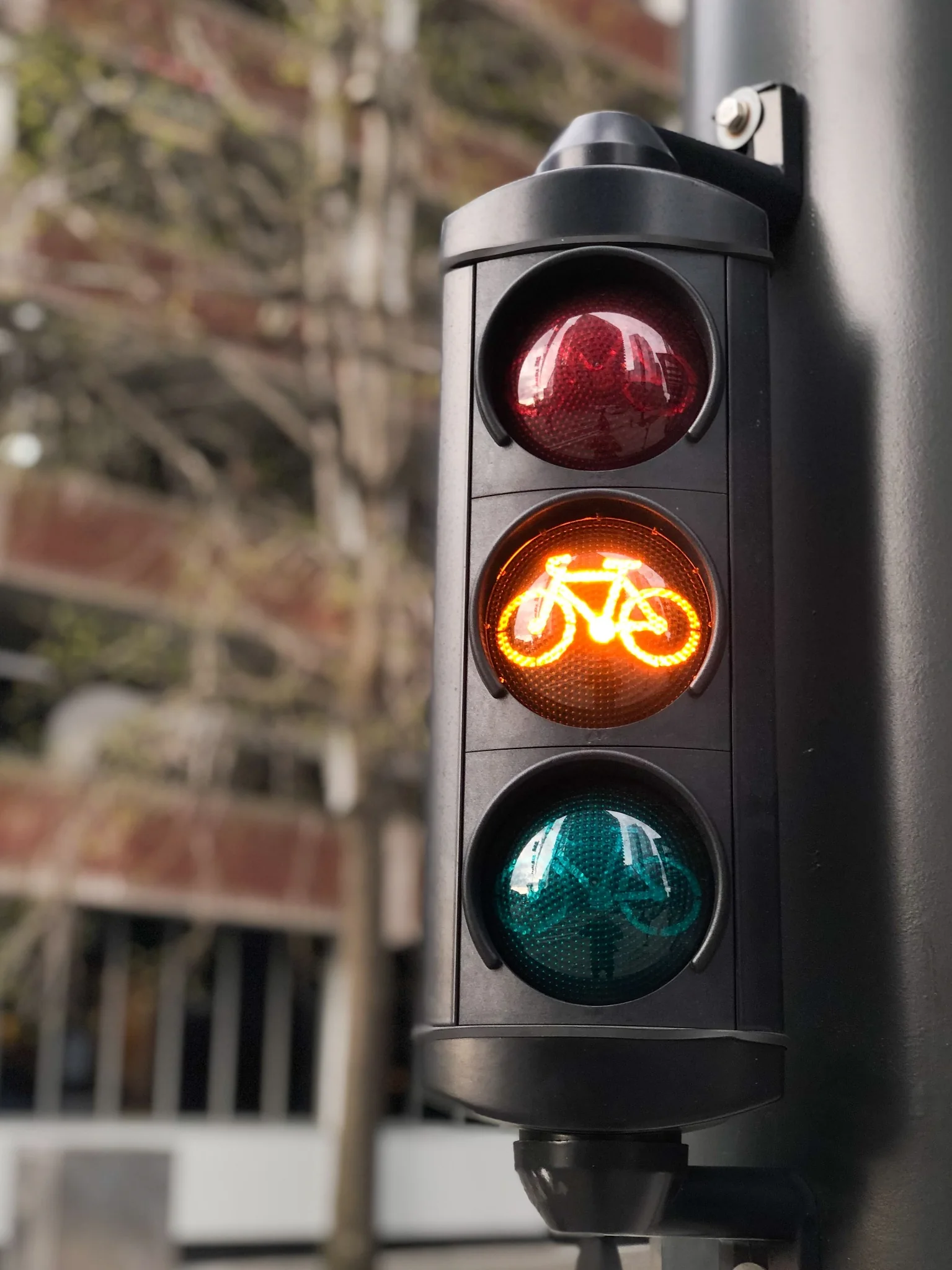 A bicycle traffic signal